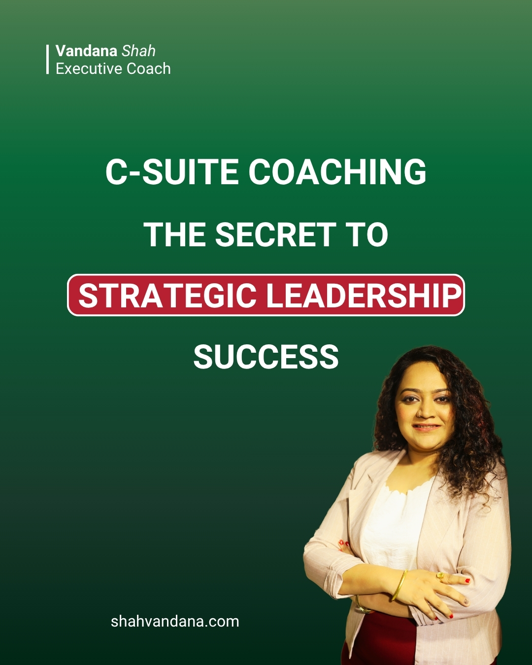 C-Suite Coaching